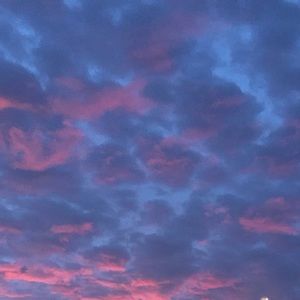 Meet your Posher, Gracie